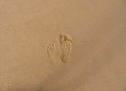 unser Weg 1 unser Weg 1